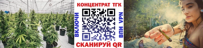 ТГК гашишное масло  Купить закладки  Гороховец 