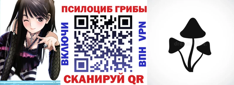 Псилоцибиновые грибы Psilocybine cubensis  Купить где  Гороховец 